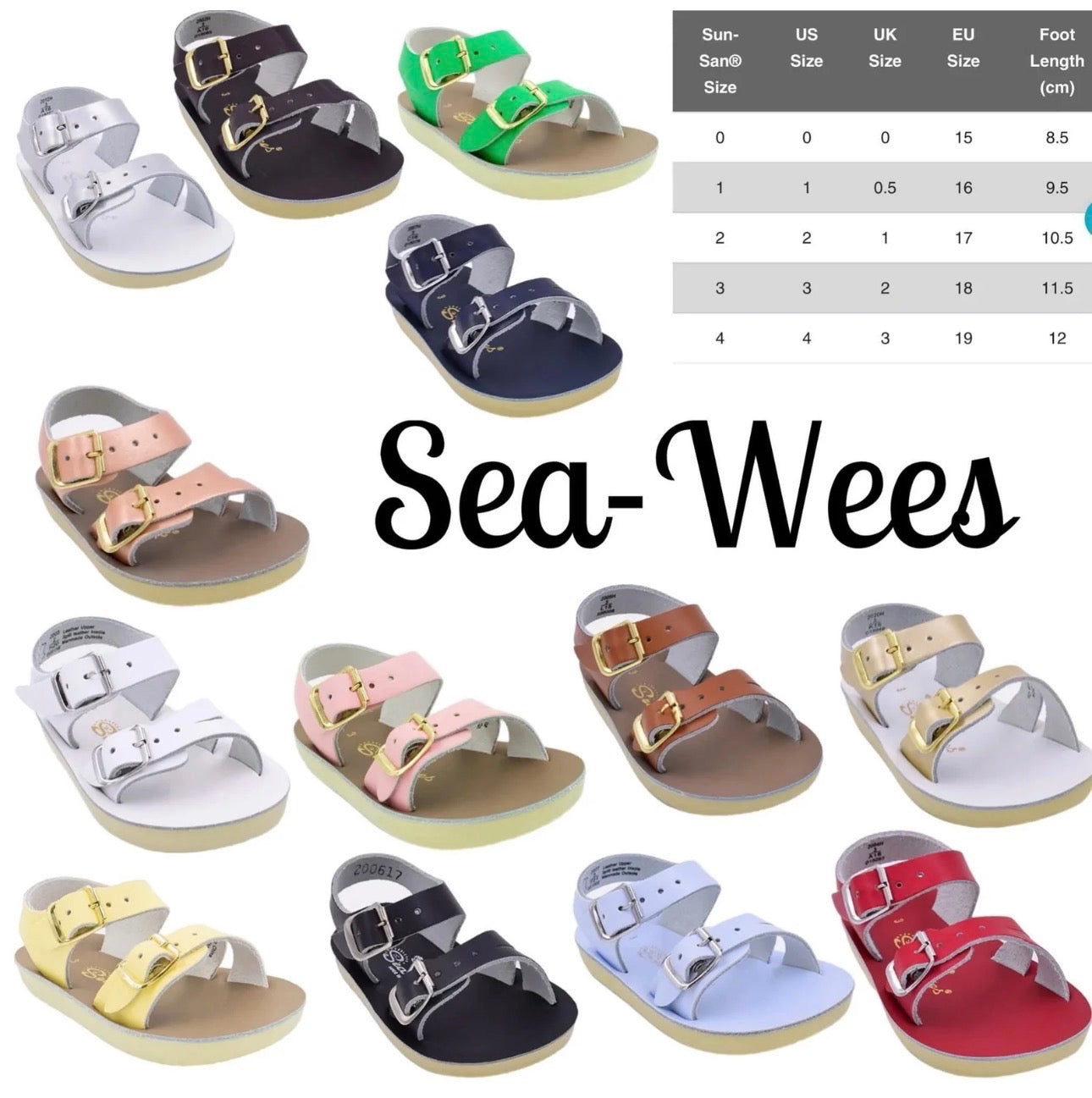 Sun San Sea-Wees Closing 2/25